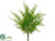 Curly Fern Bush - Green - Pack of 24