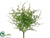 Fern Bush - Green - Pack of 24