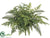 Large Phoenix Palm Leather Fern Bush - Green - Pack of 6