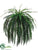 Large Fishtail Fern Bush - Green - Pack of 1