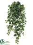 Silk Plants Direct Swedish Ivy Hanging Bush - Green - Pack of 6