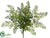 Lace Fern Bush - Green - Pack of 12