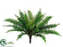 Silk Plants Direct Boston Fern Bush - Green - Pack of 12