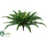 Silk Plants Direct Boston Fern Bush - Green - Pack of 6