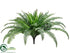 Silk Plants Direct Boston Fern Bush - Green Frosted - Pack of 6