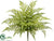 Leather Fern Bush - Green - Pack of 6