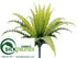 Silk Plants Direct Bird Nest Fern Bush - Green - Pack of 12