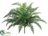 Silk Plants Direct Ruffle Fern Bush - Green - Pack of 6