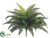 Ruffle Fern Bush - Green - Pack of 6