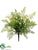 Maidenhair Fern Bush - Green - Pack of 12