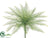 Lace Fern Bush - Green - Pack of 12