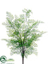 Silk Plants Direct Maidenhair Fern Bush - Green - Pack of 6