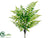 Fern Bush - Green - Pack of 6