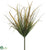 Onion Grass Bush - Green Brown - Pack of 12