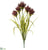 Pompon Grass Bush - Burgundy - Pack of 12