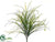 Flowering Onion Grass Bush - Green Cream - Pack of 24