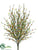 Grass Berry Bush - Orange - Pack of 12