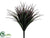 Vanilla Grass Bush - Green Burgundy - Pack of 24