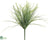 Monkey Grass Bush - Green Two Tone - Pack of 24