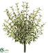 Silk Plants Direct Oregano Bush - Green White - Pack of 6