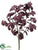 Mint Bush - Burgundy - Pack of 12