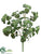 Mint Bush - Green - Pack of 12