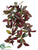 Laurel Hanging Bush - Burgundy - Pack of 6