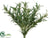 Rosemary Bush - Green - Pack of 12