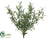 Rosemary Bush - Green - Pack of 12