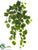 Ivy Hanging Bush - Green - Pack of 6