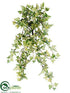 Silk Plants Direct Needlepoint Ivy Hanging Bush - Variegated - Pack of 12