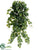 Ivy Vine Hanging Bush - Green Cream Green Two Tone - Pack of 12