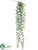 Star Ivy Hanging Bush - Green - Pack of 24