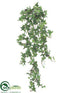 Silk Plants Direct Ivy Hanging Plant - Green - Pack of 12