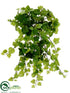 Silk Plants Direct Kangaroo Ivy Hanging Bush - Green - Pack of 12