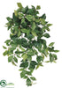 Silk Plants Direct Fruiting Ivy Hanging Bush - Green - Pack of 12