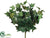 Ivy Bush - Green - Pack of 12