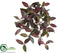 Silk Plants Direct Laurel Hanging Bush - Burgundy Green - Pack of 6