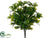 Laurel Leaf Bush - Green - Pack of 12