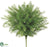 Sprengeri Bush - Green - Pack of 12