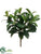 Laurel Leaf Bush - Green - Pack of 12