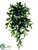 Laurel Leaf Hanging Bush - Green - Pack of 6