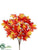 Maple Bush - Orange Flame - Pack of 12