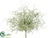 Spanish Moss Bush - Green Gray - Pack of 12