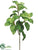 Mint Bush - Green - Pack of 24