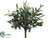 Olive Bush - Green - Pack of 12