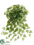 Silk Plants Direct Potato Leaf Hanging Bush - Green Light - Pack of 36