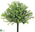 Tea Leaf Bush - Green - Pack of 12