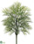 Parlour Palm Plant - Green - Pack of 12