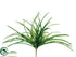 Silk Plants Direct Rain Tree Bush - Green - Pack of 24